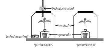 แนวข้อสอบ สาธิตปทุมวัน