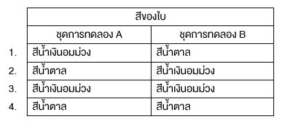 แนวข้อสอบ สาธิตปทุมวัน ภาคปกติ